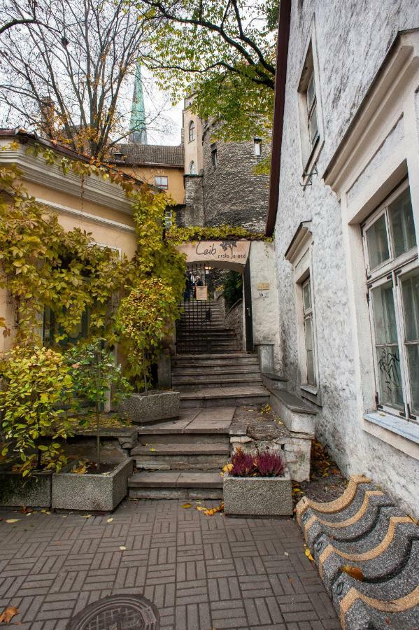 Baltic Accommodation 1 - Rumbi 4-36 Reval Exterior foto